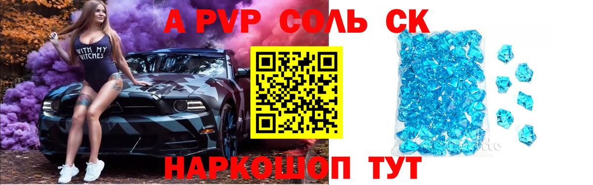 Альфа ПВП СК КРИС Урус-Мартан