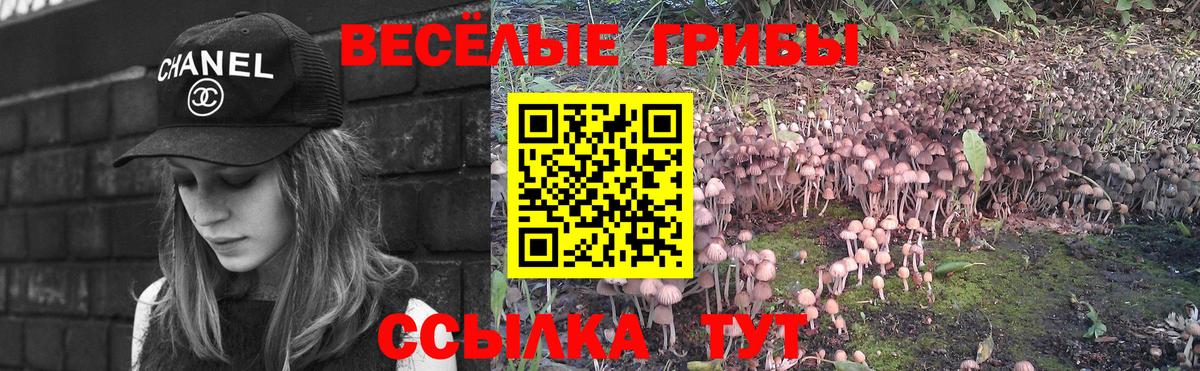 Псилоцибиновые грибы Magic Shrooms Урус-Мартан