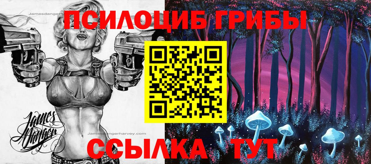 Урус-Мартан  Псилоцибиновые грибы ЛСД  Вход с VPN 